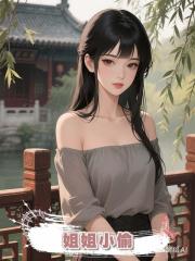 姐姐小偷
